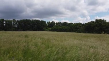 Gün batımında yeşil çimlerin üzerinde uçan hava videosu