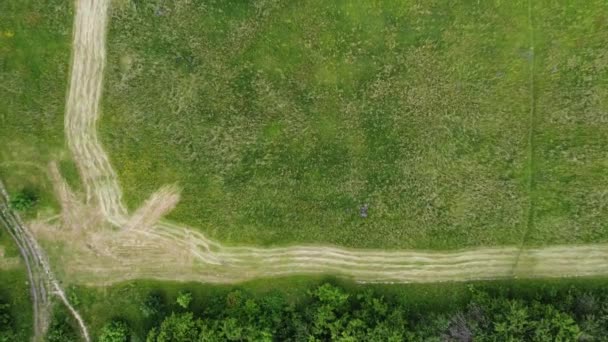 Εναέρια φωτογραφία drone πάνω πλάνο ενός θερισμένου λιβαδιού με μακριές γραμμές φρεσκοκουρεμένου χόρτου, περιστρεφόμενη ξεκινώντας από ψηλά προς τα κάτω — Αρχείο Βίντεο