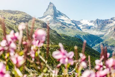 Matterhorn 'un manzarasının tadını çıkarıyorum.