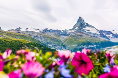 İsviçre 'nin Pennine Alplerindeki Matterhorn Dağı manzarası