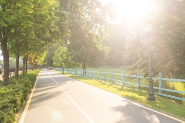 Parktaki yol, ağaçla kaplı köy yolu.
