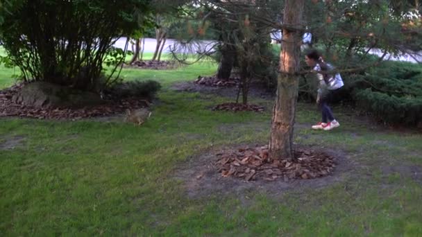 Menina pegando uma lebre, coelho — Vídeo de Stock