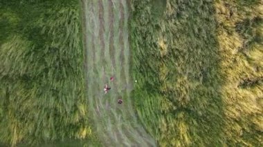 Doğal çimen dokusu, parkın havadan görünüşü