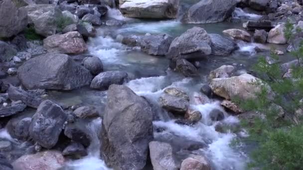Wild mountain river flowing through stone boulders. Abundant clear stream in albania. Cold water splashing near rapids. Small cascade from rocks in national park. Water background concept — Stock Video