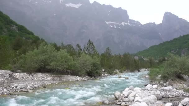 Arnavutluk 'un Theth kentinde rüzgarlı bir günde Alp dağlarının yamacında yeşil çimenli çayır — Stok video