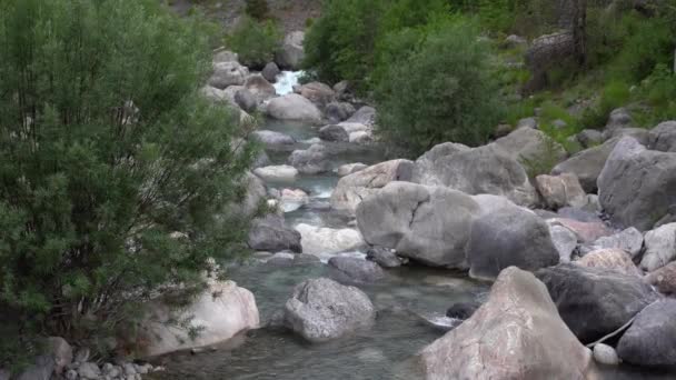 Piccolo fiume di montagna con acqua cristallina. L'acqua scorre sulle pietre ricoperte di muschio nella foresta verde. Mattina sole rompe tra gli alberi. — Video Stock