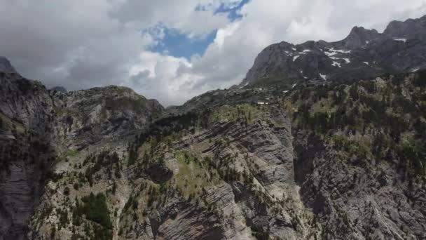 Montanhas alpinas, árvores verdes, flores e prado em belo panorama do norte da Albânia — Vídeo de Stock