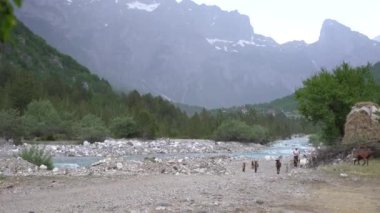 Arnavutluk, 01.07.2021: Arnavutluk 'un güzel dağlarının yamaçlarda koşan koyun ve keçilerle çekilmesi.