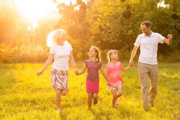 Щаслива сім'я насолоджується життям разом на лузі на відкритому повітрі . — стокове фото