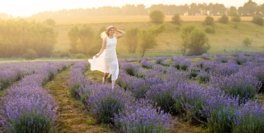 Beyaz elbiseli güzel genç bir kadın çiçeklenmiş bir lavanta tarlasının ortasında yürüyor.