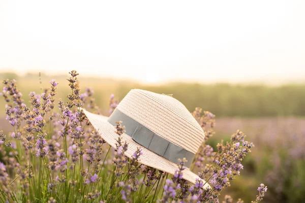 Letni kapelusz nad lawendy kwiaty przed słońcem — Zdjęcie stockowe
