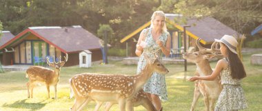 Geyiği besleyen ve ona sarılan genç bir kızın fotoğrafı.