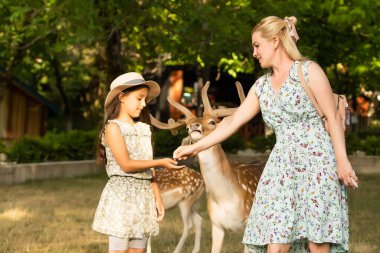 Geyiği besleyen ve ona sarılan genç bir kızın fotoğrafı.
