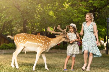 Mutlu genç anne ve kızı hayvanat bahçesinde güzel geyikleri besliyor.