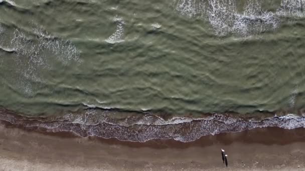 Silhouetten eines Paares am Strand im Sonnenlicht — Stockvideo