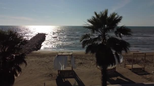 Palm boom zandstrand zonsopgang — Stockvideo