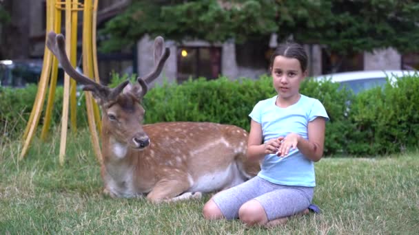 Hand van schattig klein meisje voeden Roe Deer in een park — Stockvideo