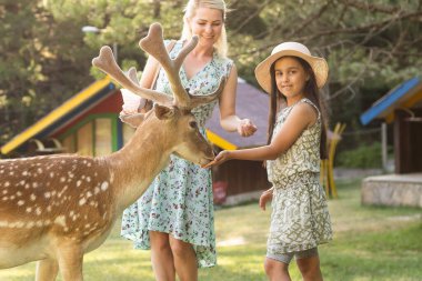 tapılası çocuk çiftlikte geyik besliyor. Hayvanat bahçesinde hayvan besleyen güzel bir bebek. Heyecanlı ve mutlu bir aile haftasonu.