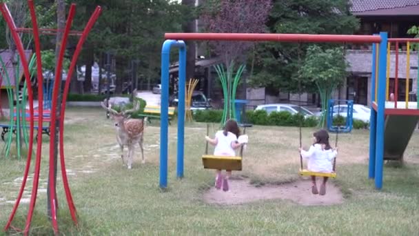 Dos niñas montan un columpio en el parque al lado del ciervo — Vídeo de stock