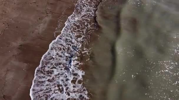 Lerigt havsvatten på sandstrand — Stockvideo