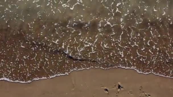 Val moale al mării pe plaja de nisip — Videoclip de stoc