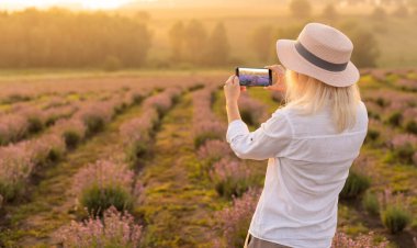 Lavanta tarlasında cep telefonuyla fotoğraf çeken bir kadın.