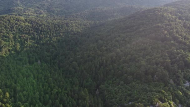 Arnavutluk 'taki Llogara geçidinde dağlarda yol. — Stok video