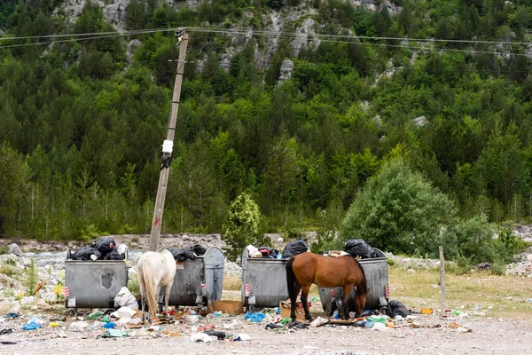 Odpadky na horách, Národní park Theti v Albánii. — Stock fotografie