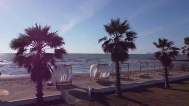 Palmiye ağacı kumlu sahil gün batımı.