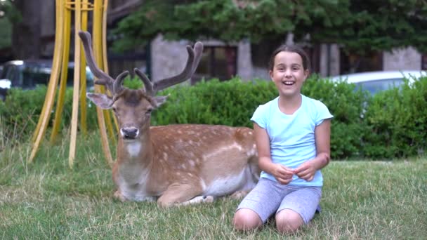 Ruka roztomilé holčičky krmení roe jelena v parku — Stock video