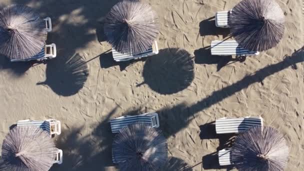 모래가 많은 해변에 있는 짚 우산 — 비디오