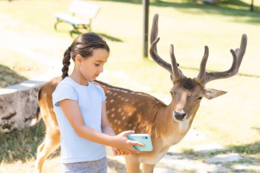 Heyecan verici bir deneyim. Şirin küçük bir kız, hayvanat bahçesinde ailesiyle harika vakit geçirirken genç geyikleri yiyecekle okşayıp izliyor. Ulusal Park. Hayvanlar