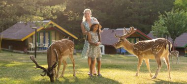 Mutlu genç anne ve kızı hayvanat bahçesinde güzel geyikleri besliyor.
