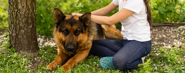 Alegre niña con un perro pastor alemán — Foto de Stock