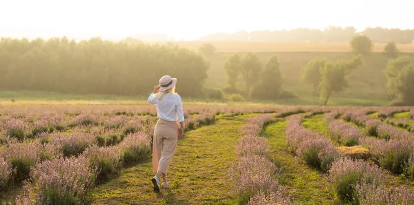 Fiatal szőke utazó szalmakalapot visel a levendula mezőn, levendula virágokkal körülvéve.. — Stock Fotó