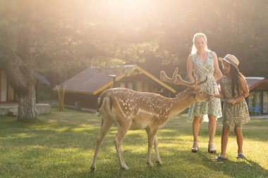 Küçük kız bir ren geyiğiyle duruyor.