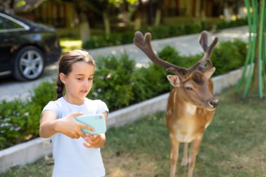 Geyiği besleyen ve ona sarılan genç bir kızın fotoğrafı.