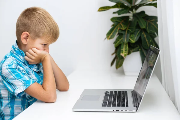 Opgewonden jongetje kijkt naar het laptop scherm — Stockfoto