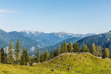 Taze yeşil çayırlar, çiçek açan çiçekler, tipik çiftlik ve karlı dağ başında arka planda Nationalpark Berchtesgadener Land, Bavyera, Almanya Alpleri'nde pastoral manzara