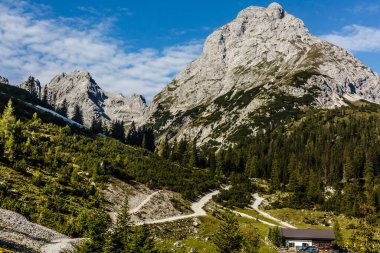 Taze yeşil çayırlar, çiçek açan çiçekler, tipik çiftlik ve karlı dağ başında arka planda Nationalpark Berchtesgadener Land, Bavyera, Almanya Alpleri'nde pastoral manzara