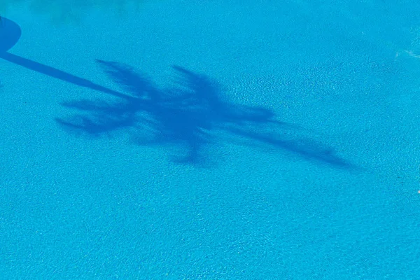 Reflection of palm trees in the pool, reflections on water — Stock Photo, Image