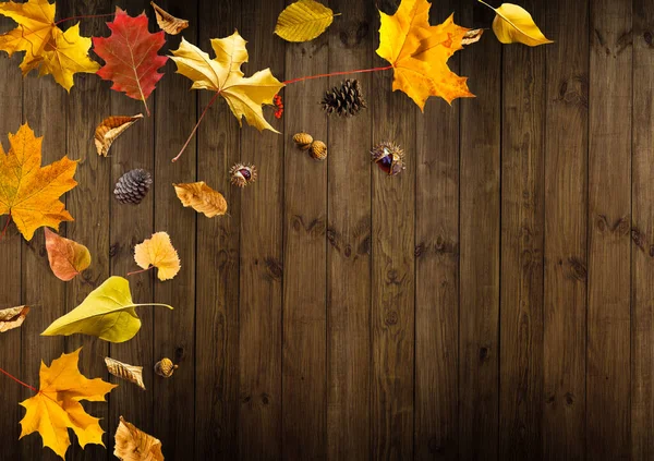 秋のセールバナー葉付きの背景 — ストック写真
