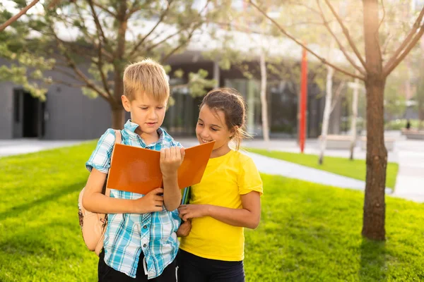 Portret van opgewonden basisschool leerlingen op het speelveld tijdens de pauze — Stockfoto