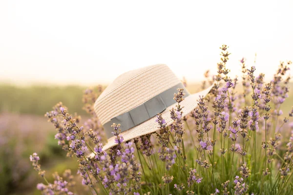 Letni kapelusz nad lawendy kwiaty przed słońcem — Zdjęcie stockowe