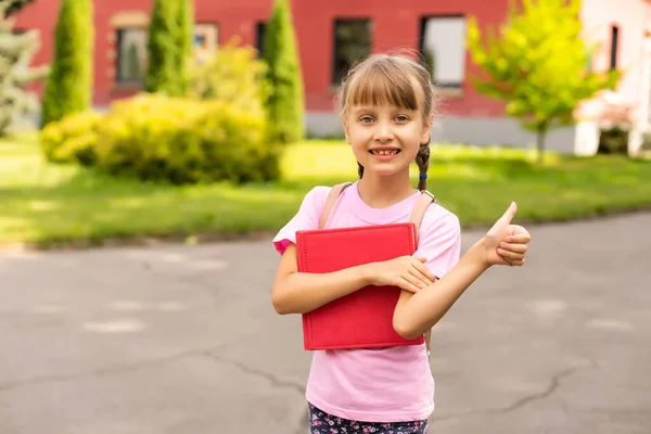 Glückliches süßes lächelndes fröhliches Kindermädchen, das Bücher hält. Schulmädchen mit Mimik. Bildungskonzept, Lesen, zurück in die Schule. — Stockfoto