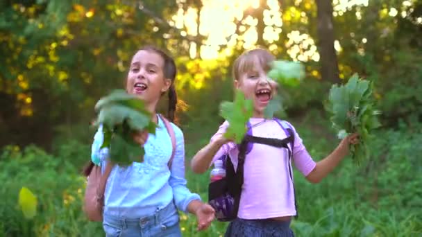 Colegialas recogiendo hojas de otoño para secar. Proyecto escolar haciendo herbario a partir de hojas secas. Niña hojas preparadas para el otoño artesanal. niñas caminando en el parque de otoño. — Vídeo de stock