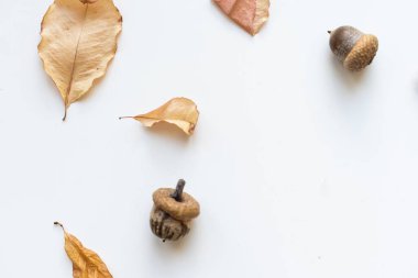 Sonbahar kompozisyonu. Sonbahar yapraklarından, meşe palamudundan, kozalaklardan yapılmış desen. Düz yatış, üst görünüm.