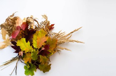 Yapraklardan gelen sonbahar buketi duygusal kişiye bir hediye. Sonbahar yaprakları buketi