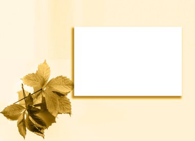 sonbahar yaprakları sonbaharda bir arka planı için