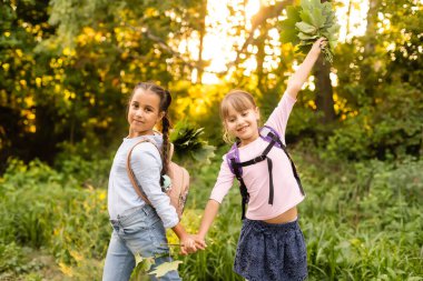 Okullu kızlar sonbahar yapraklarını kurulamak için topluyorlar. Okul projesi kurumuş yapraklardan bitki üretmek. Kız sonbahar sanatı için yapraklar hazırladı. Sonbahar parkında yürüyen kızlar.
